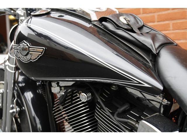 harley-davidson - springer-flsts-softail