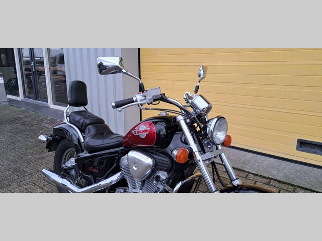 honda - vt-600-c-shadow--vlx-