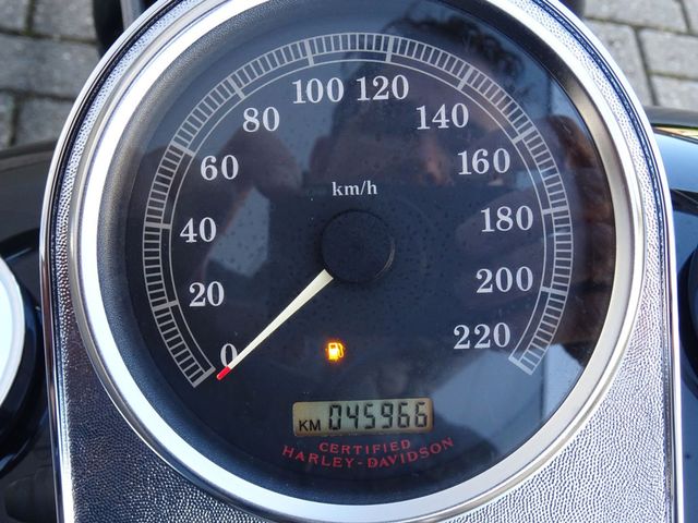 harley-davidson - springer-flsts-softail