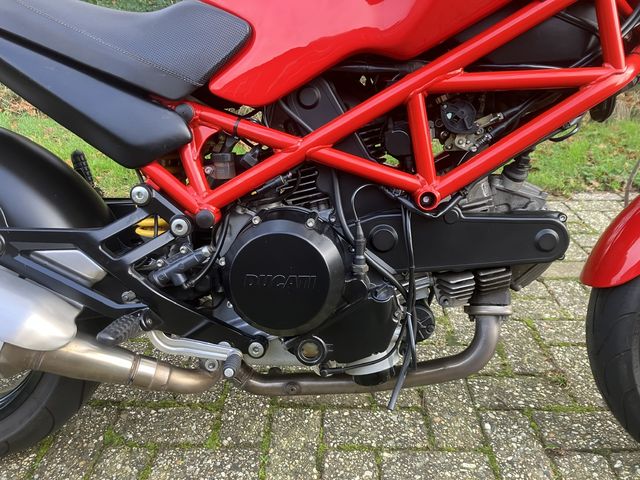 ducati - monster-695