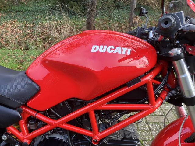ducati - monster-695