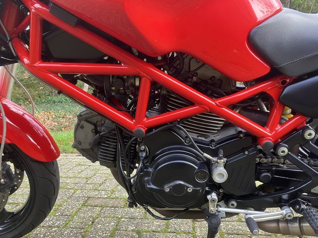 ducati - monster-695