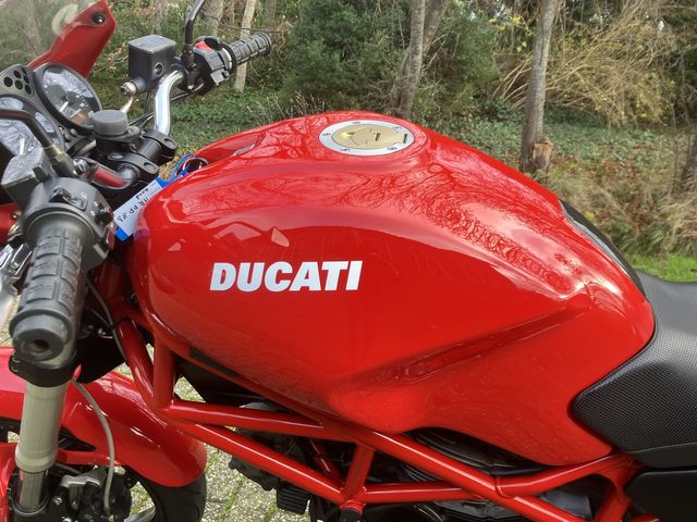 ducati - monster-695