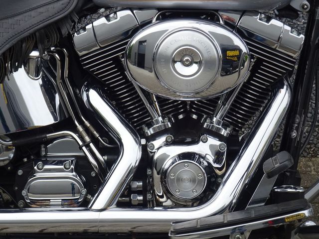 harley-davidson - springer-flsts-softail