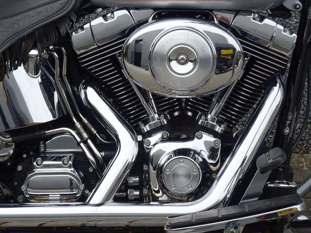 harley-davidson - springer-flsts-softail