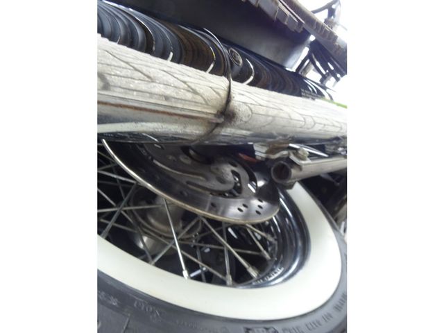 harley-davidson - springer-flsts-softail