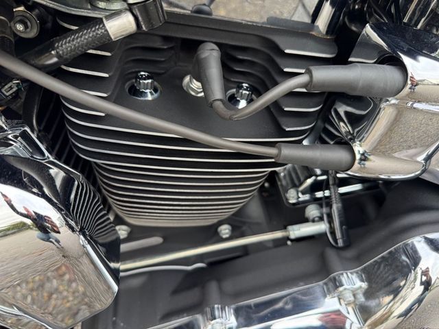 harley-davidson - heritage-softail