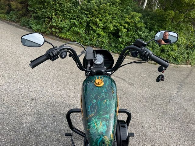 harley-davidson - sportster-iron-1200-xl-1200-ns