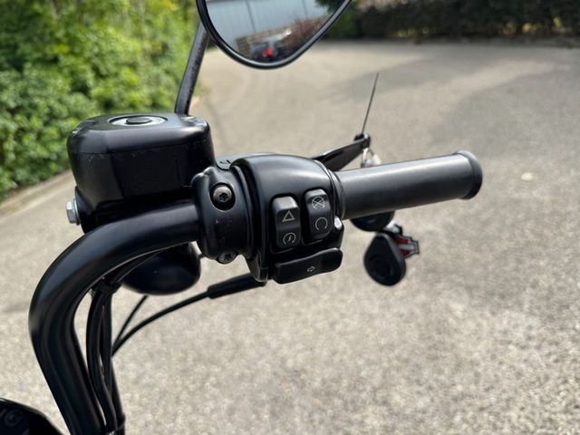 harley-davidson - sportster-iron-1200-xl-1200-ns