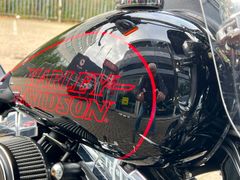 Harley-Davidson Chopper 103 Fxdl Dyna Low Rider 2016 occasion – foto 3 van 14