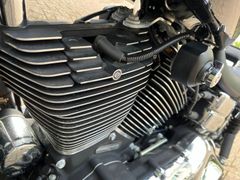 Harley-Davidson Chopper 103 Fxdl Dyna Low Rider 2016 occasion – foto 8 van 14