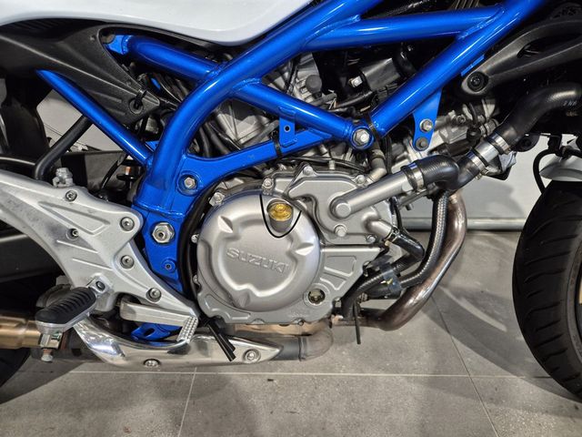 suzuki - gladius