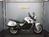 TRIUMPH 955 I TIGER