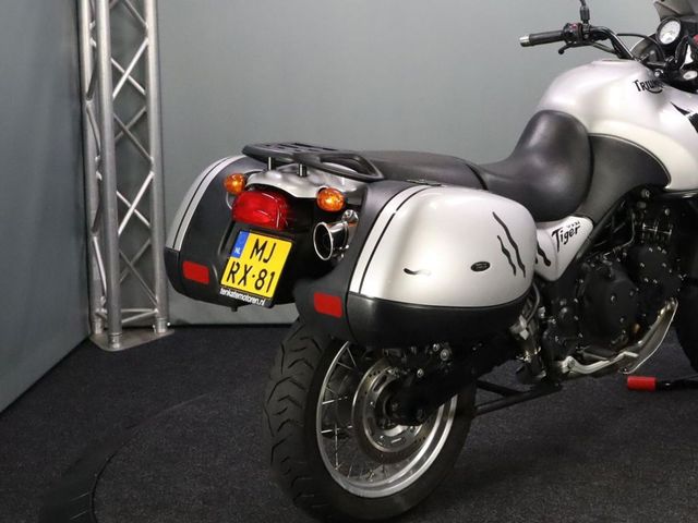 triumph - 955-i-tiger