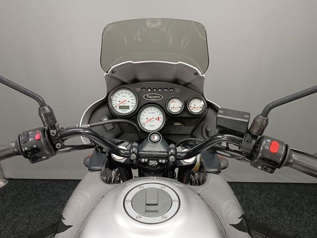 triumph - 955-i-tiger