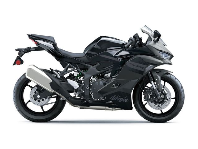 kawasaki - ninja-zx-4rr