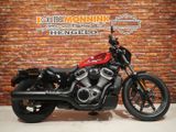 HARLEY-DAVIDSON NIGHTSTER RH 975