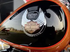 Harley-Davidson Flstf FAT BOY Softail Anniv 2008 occasion – foto 6 van 20