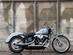 Harley-Davidson LOW Rider 1200 Fxst 1991 occasion – foto 6 van 19