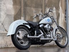 Harley-Davidson LOW Rider 1200 Fxst 1991 occasion – foto 14 van 19