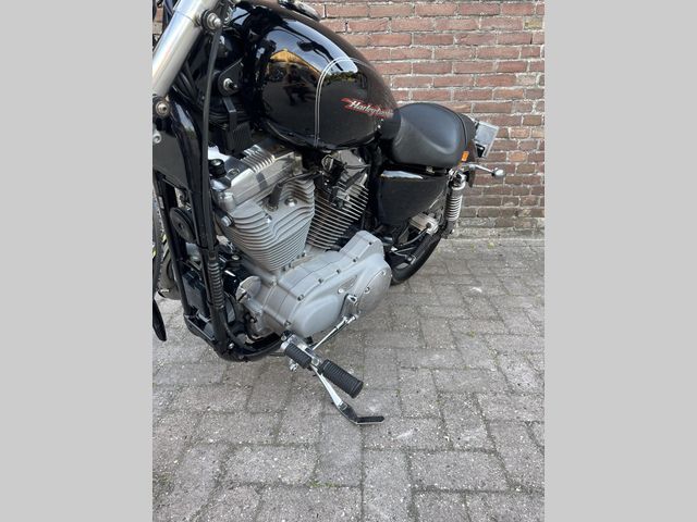 harley-davidson - sportster-custom--xl-53-c