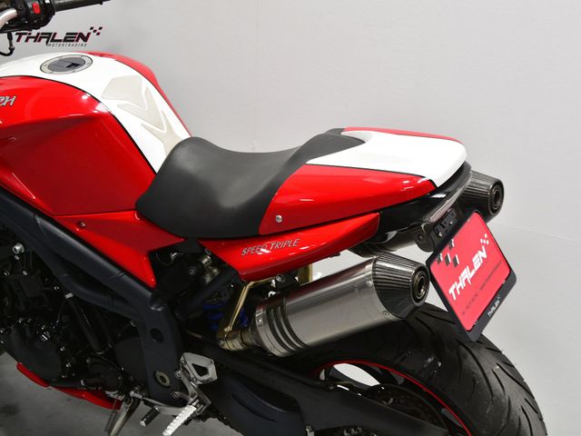 triumph - speed-triple