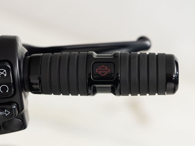 harley-davidson - roadking-special-114