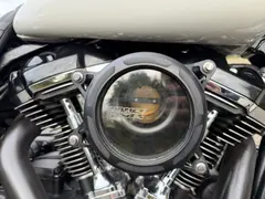 Harley-Davidson Street Glide Btw Streetglide Special Flh 2022 occasion – foto 9 van 20
