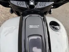 Harley-Davidson Street Glide Btw Streetglide Special Flh 2022 occasion – foto 20 van 20