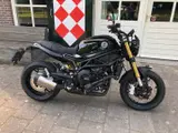 Benelli Leoncino 800 2026