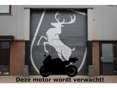 BMW M 1000 R