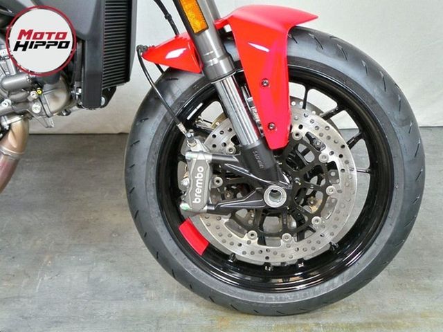 ducati - monster
