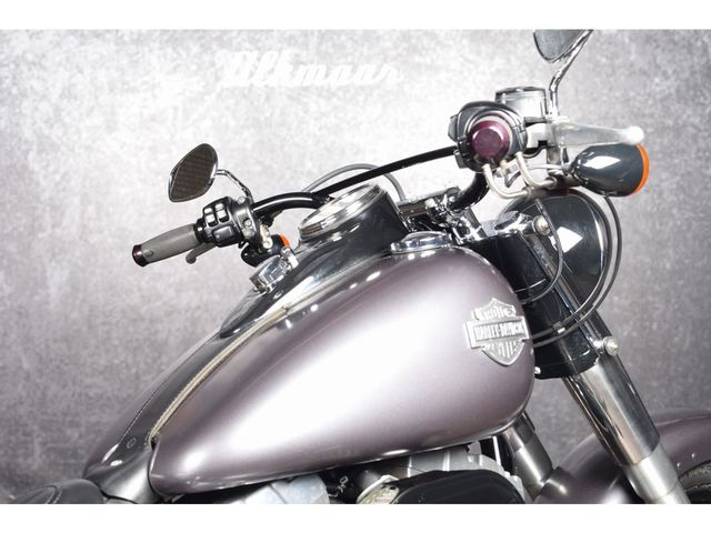 harley-davidson - softail-slim-fls