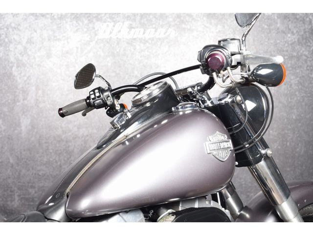 harley-davidson - softail-slim-fls