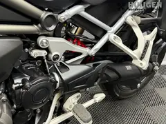 Triumph Tiger 1200 GT PRO 2024 occasion – foto 19 van 24