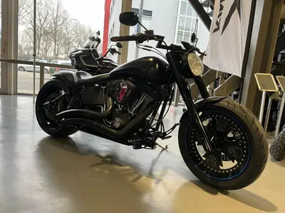 HARLEY-DAVIDSON NIGHT TRAIN FXSTB – foto 2