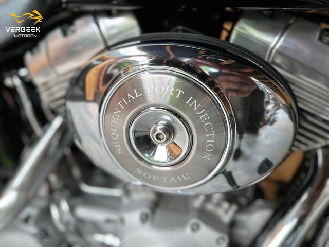 harley-davidson - softail-standard
