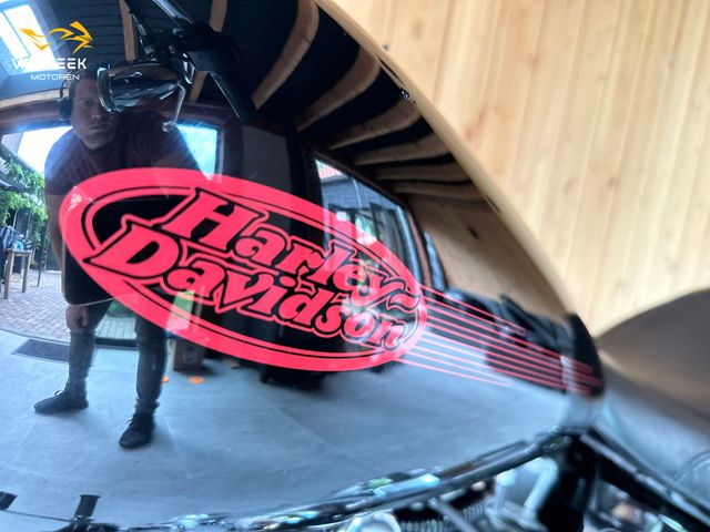 harley-davidson - softail-standard