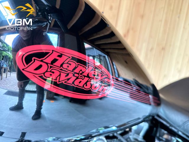 harley-davidson - softail-standard