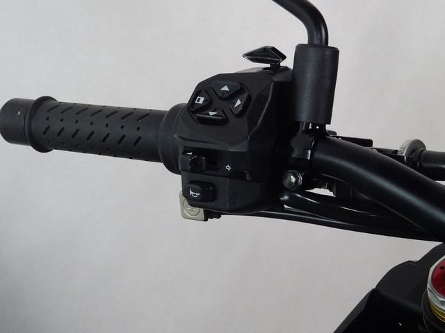 aprilia - tuono-v4-1100-rr