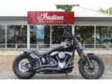 HARLEY-DAVIDSON CROSS BONES FLSTSB