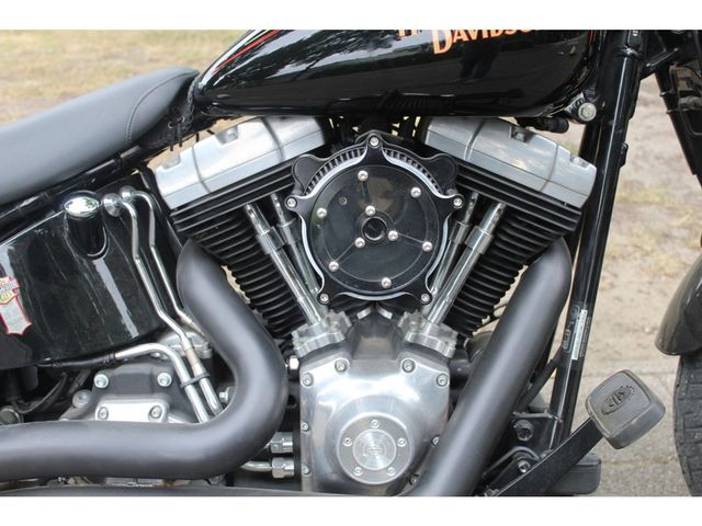 harley-davidson - cross-bones-flstsb