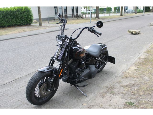 harley-davidson - cross-bones-flstsb