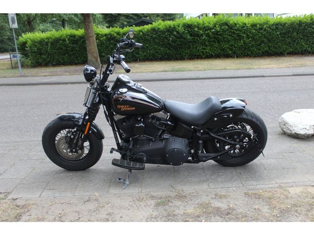 harley-davidson - cross-bones-flstsb