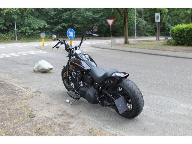 harley-davidson - cross-bones-flstsb