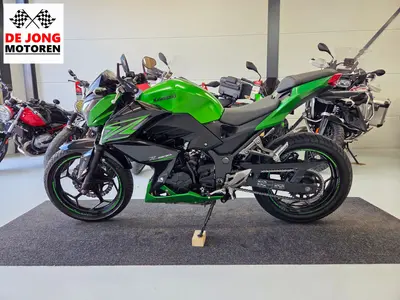 KAWASAKI Z 300 PERFORMANCE – foto 2