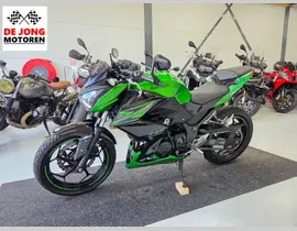 Kawasaki Z 300 Performance 2016 occasion