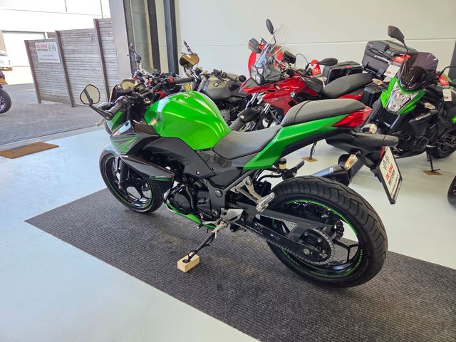 kawasaki - z-300-performance