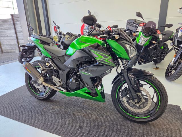 kawasaki - z-300-performance