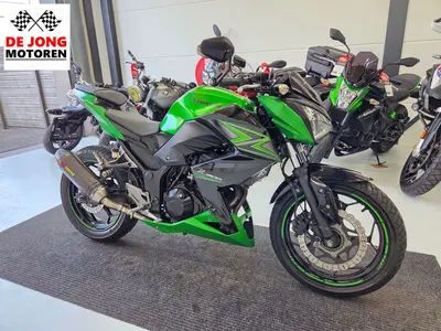KAWASAKI Z 300 PERFORMANCE – foto 4
